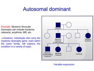 In Autosomal Dominant Inheritance Jsp Mode